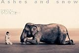 ¥°¥ì¥´¥ê¡¼¡¦¥³¥ë¥Ù¡¼¥ë ¥¢¡¼¥È¥Ý¥¹¥¿¡¼ Gregory Colbert: Boy Reading to Elephant, Mexico City