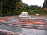 31b6c541.jpg