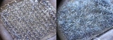 92852d66.jpg