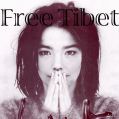 freetibet03