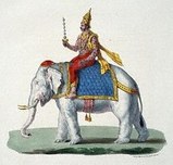bf25151a.jpg