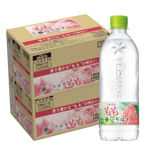 ���������� ���������ϡ��� ���(�����Ϥ� ���) 540ml�ڥåȥܥȥ��24������(2������)